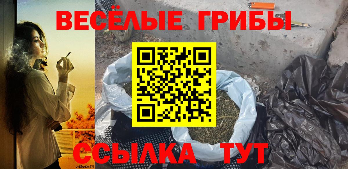 Галлюциногенные грибы Magic Shrooms  цена наркотик  Тула  Вход с VPN 